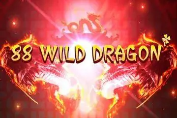 88 Wild Dragon Online Casino Game