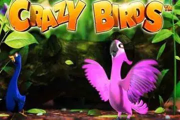 Crazy Birds Online Casino Game