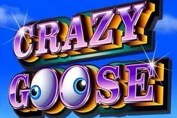 Crazy Goose Online Casino Game
