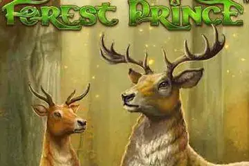 Forest Prince Online Casino Game