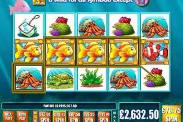 Goldfish Online Casino Game