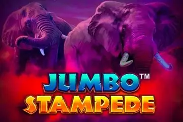 Jumbo Stampede Online Casino Game