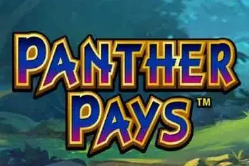 Panther Pays Online Casino Game