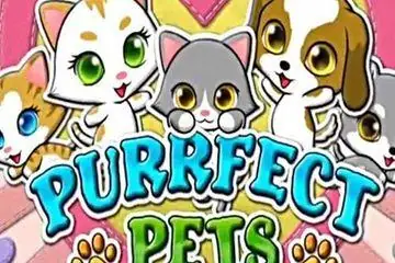 Purrfect Pets Online Casino Game