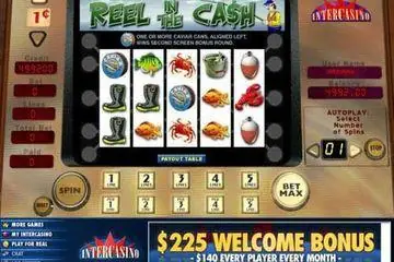 Reel in the Cash Online Casino Game