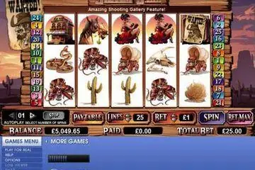Silver Star Online Casino Game
