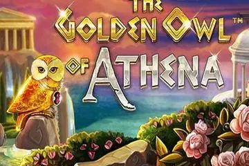 The Golden Owl of Athena Online Casino Game