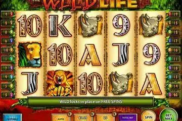 The Wild Life Online Casino Game