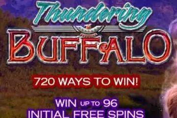 Thundering Buffalo Online Casino Game
