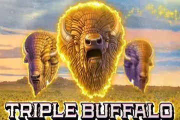 Triple Buffalo Online Casino Game