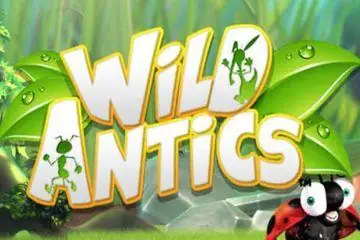 Wild Antics Online Casino Game